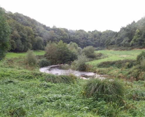 kernansquillec_after2_cc_onema