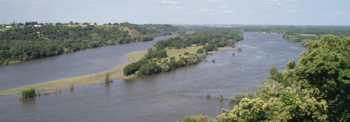 La loire à Champtoceau
