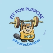 wwf_wfd_beaver_paint_vari_bd