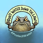 wwf_wfd_frog_paint_vari_656000