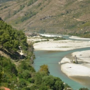 Vjosa_river_near_Tepelena_cc_Pudelek
