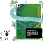 Cover of the WWF report