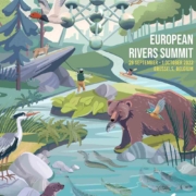 Naaer River Summit 2022