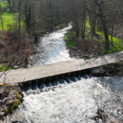 ©SMBVD_20250327152346_0002_D