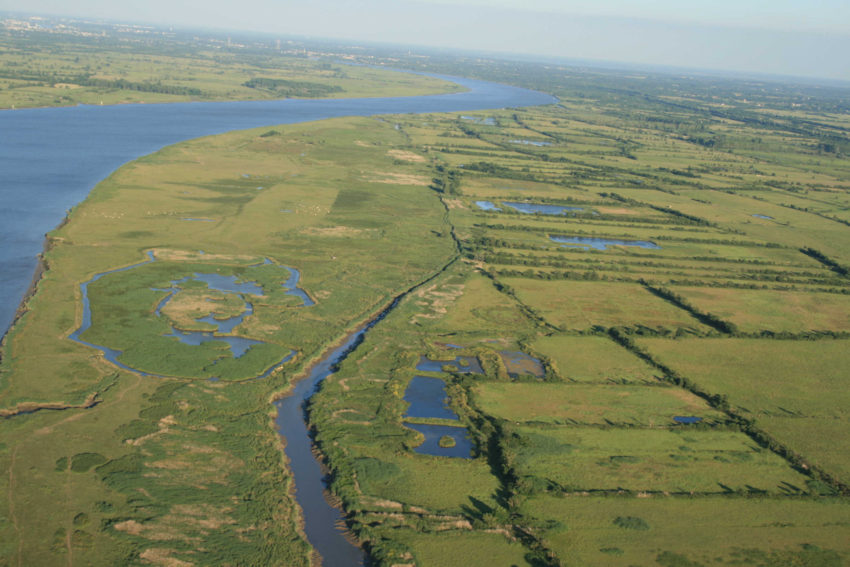 La Loire à Donges Est