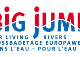 Logo Big Jump