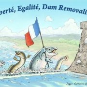 logo/dessin