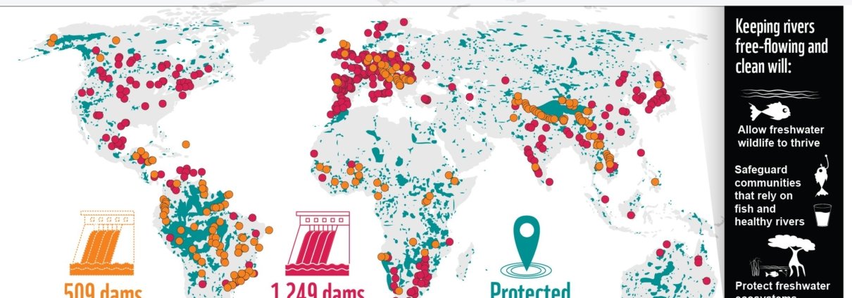 Infografie