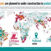 Infografie