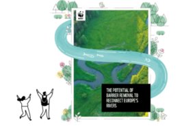 Cover of the WWF report