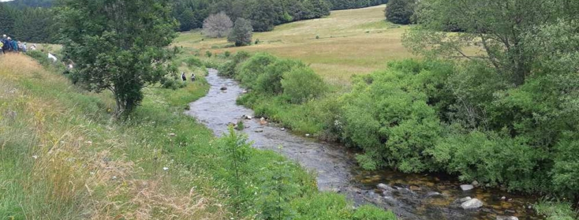 Marche citoyenne pour l'eau - 2023